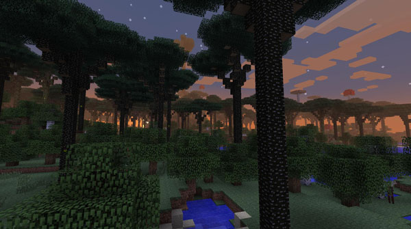 The Twilight Forest